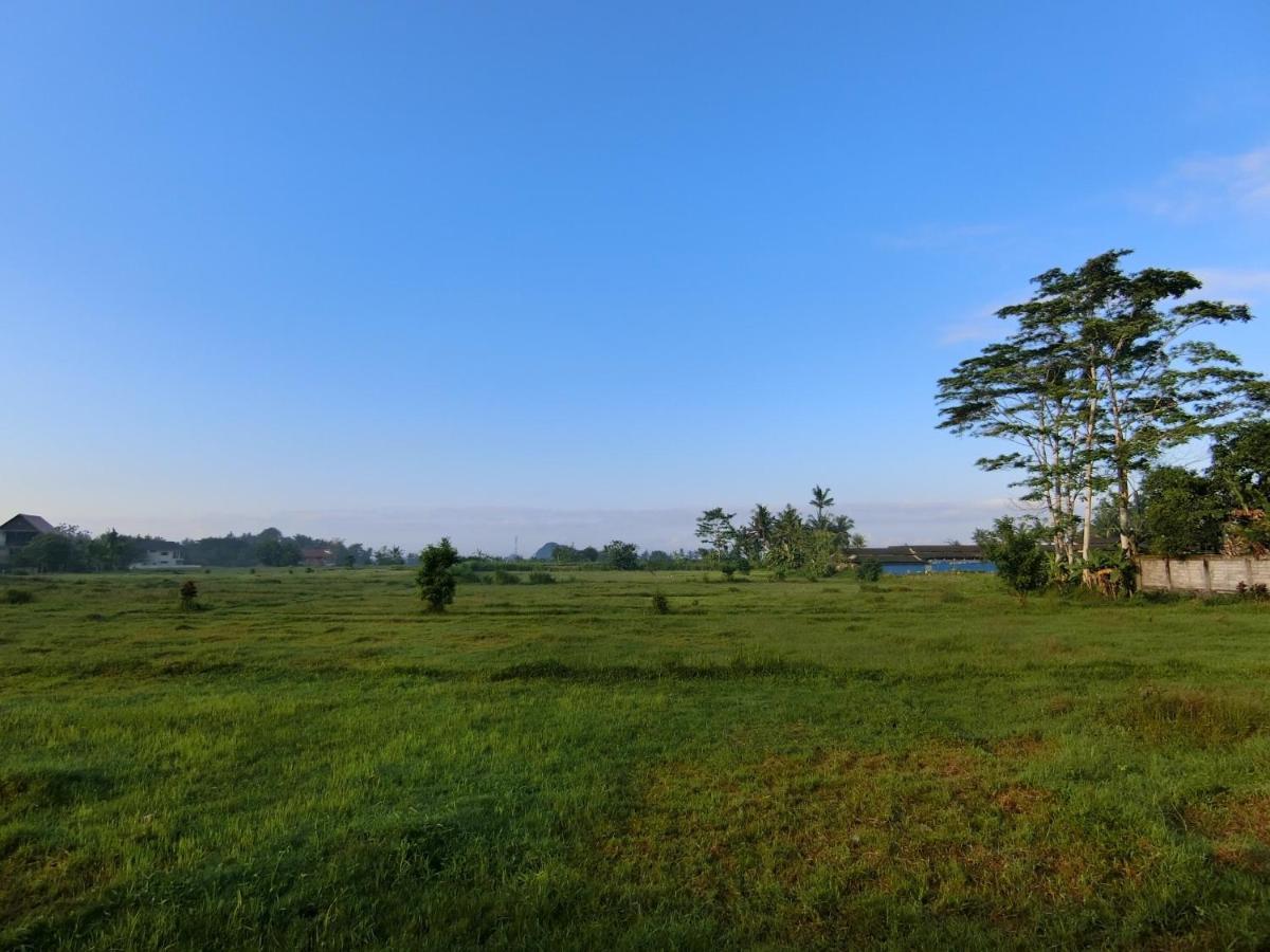 New Private Pool Villa - Villa Kita Ubud 外观 照片